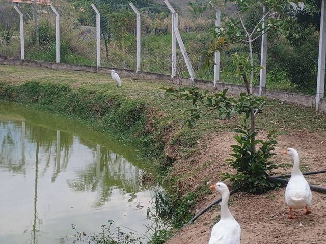#CH0041 - Chácara para Venda em Cruzeiro - SP
