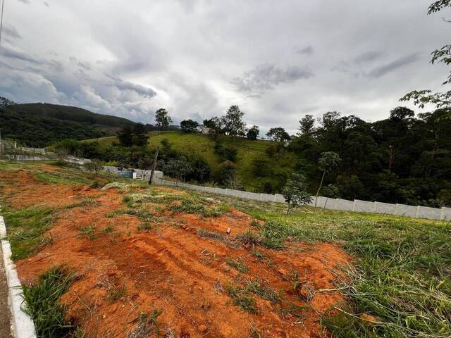 #TE0958 - Terreno para Venda em Lavrinhas - SP