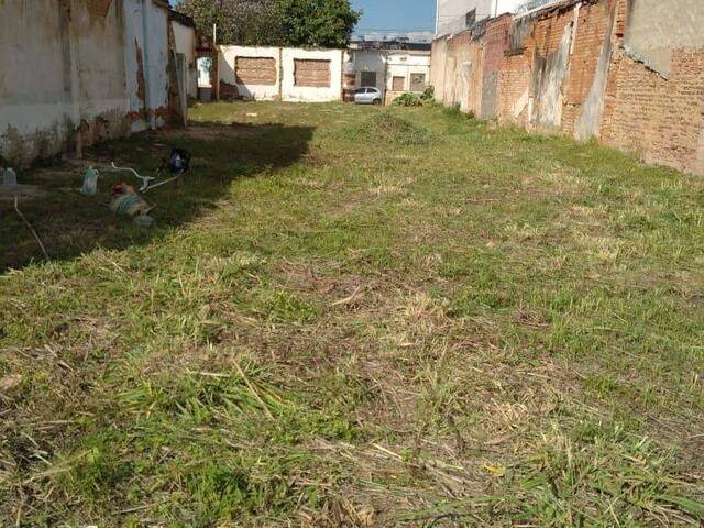 #AR0027 - Área para Venda em Cruzeiro - SP