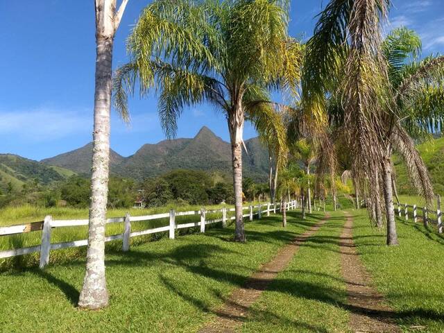 Sítio para Venda em Cruzeiro - 4