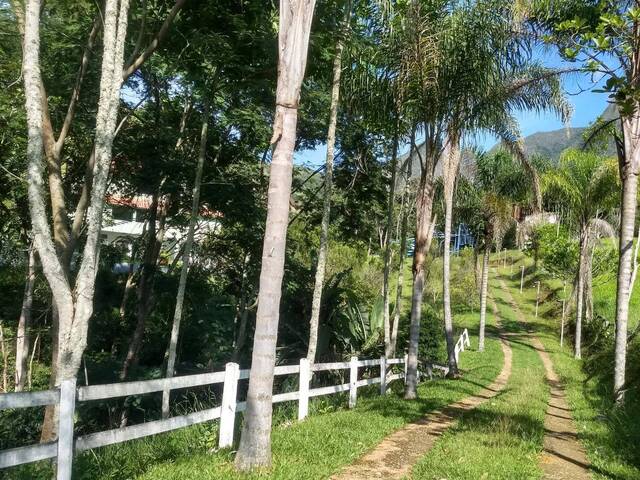 Sítio para Venda em Cruzeiro - 5