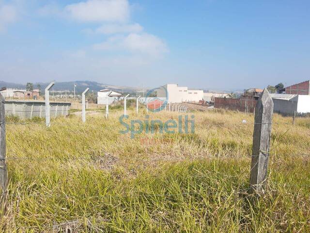 Terreno para Venda em Cruzeiro - 2