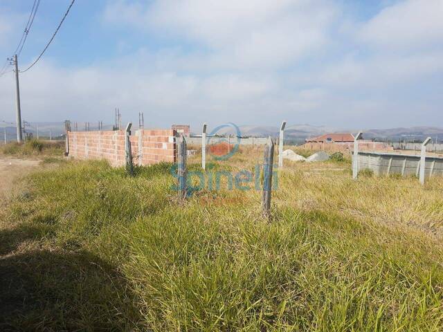 Terreno para Venda em Cruzeiro - 5