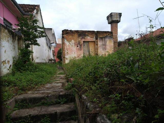 Terreno para Venda em Cruzeiro - 4