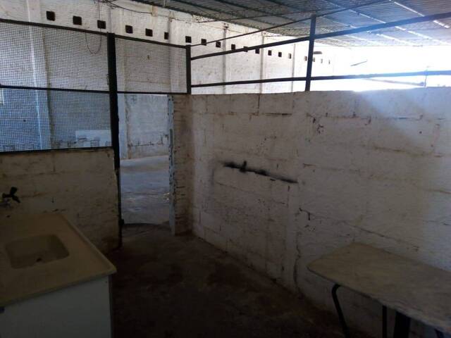 Galpão para Locação em Cruzeiro - 5